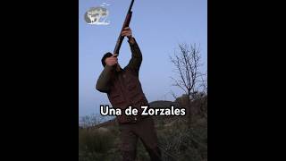 Una INOLVIDABLE jornada de Zorzales [upl. by Eletnahc]