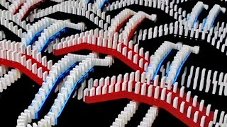 Spectacular Domino Rally Stunt Screen Link [upl. by Ogaitnas]