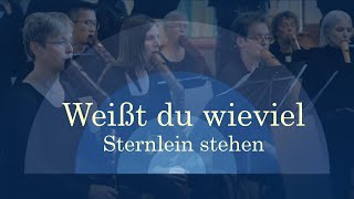 Weißt du wieviel Sternlein stehen  Berliner Blockflöten Orchester [upl. by Aivatnahs]