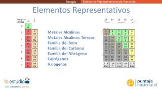 Elementos Representativos y de Transición [upl. by Xonel905]