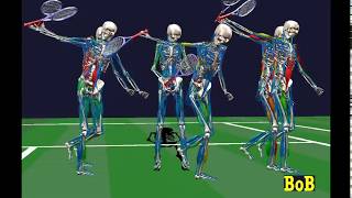 Tennis biomechanics [upl. by Norris40]