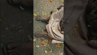 Bloody Beggar❤️💥trailer kavin viralvideo explore newshortsfeed shorts trending bloodybeggar [upl. by Annadal]