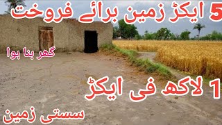 Agriculture land for sale in Pakistan  land for sale in Pakistan plotsforsale [upl. by Olihs]