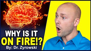 Foods That Cause Inflammation In The Brain  Why Your Brain Isnt Working [upl. by Maynard969]