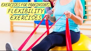 Exercises for Parkinsons Flexibility Exercises [upl. by Bj]