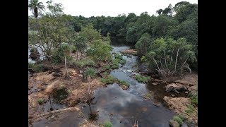 The fish ecology of the Waanje River Sierra Leone [upl. by Lustig335]