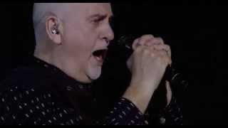 Peter Gabriel  The Family And The Fishing Net Live Back to Front Tour  London [upl. by Dulla]