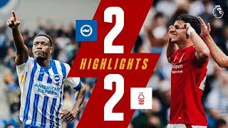 Sosas FIRST Goal 🇵🇾  Brighton 22 Nottingham Forest  Premier League Highlights [upl. by Yentyrb257]