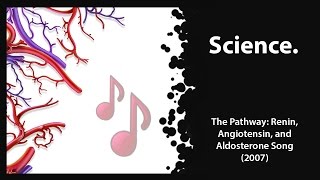 The Pathway Renin Angiotensin amp Aldosterone 2007 [upl. by Relyks924]