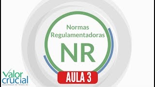 Normas Regulamentadoras nr 10 11 12 13 14 15 e 16 📕 [upl. by Yrrad763]