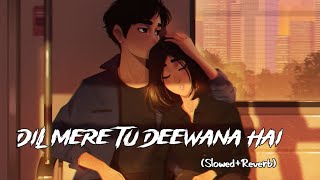 Dil mere tu deewana hai  slowedreverb  lofi   sooryavansham  amitabh bachchan [upl. by Risser]