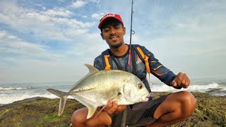 Monsoon tide spinning using Shimano squidges and zman sexy mullet Goa fishing  India fishing [upl. by Hightower]