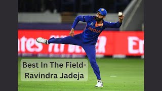 Jadeja Best Fielding  Top 10 Jadeja Fielding  CricketTV [upl. by Edaj]