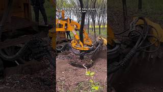 treecutting treecuttingservice didingmachine treedidingvideo treeremoval [upl. by Alakam]