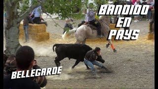 BELLEGARDE Bandido en Pays Manade Matray 07042018 🐴 [upl. by Einahpets]