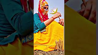 gujarati gujarati newgujaratistetuseditiGujarati video status video Gujarati mast 🥰😘 [upl. by Eentirb960]