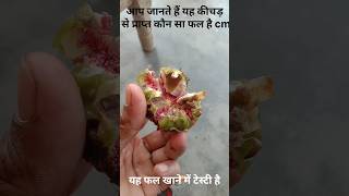 Dragon fruits streetfood trending viralvideo [upl. by Bernstein]