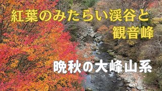 【観音峯・みたらい渓谷】紅葉を愛でに！ [upl. by Dosi344]