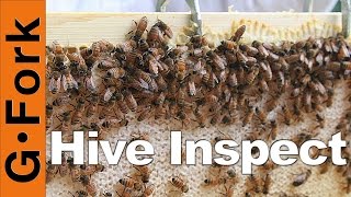 BeeHive Inspection  Beekeeping 101  GardenFork [upl. by Elwina828]