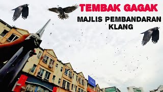 1811 Operasi Tembak Gagak MAJLIS PEMBANDARAN KLANG [upl. by Kenton]