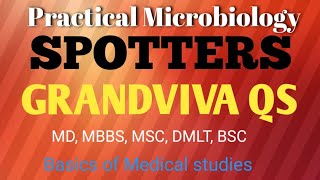 Microbiology Practical MbbsMicrobiology Spotters Mbbs1  Grand viva question 1cbme [upl. by Ferdie]