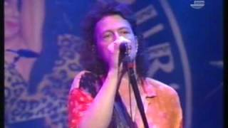 Wolfgang Niedecken amp Leopardefellband  Nix andres em Kopp  Live 1995 [upl. by Bruno966]