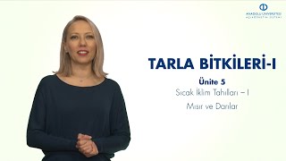 TARLA BİTKİLERİ  I  Ünite 5 Özet [upl. by Davison]