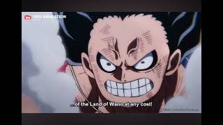 The Best One Piece Fights [upl. by Eseilanna]