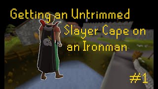 Untrimmed Slayer Cape  In Medias Res 1 [upl. by Weingartner809]