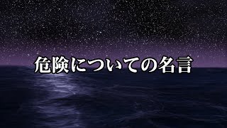 危険な決定、真実の敵、もっとも危険な狂人など【危険についての名言１０選】 [upl. by Airahcaz550]