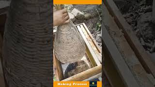 The Process Of Canning Bees [upl. by Sabu]