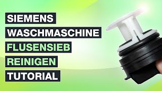 Flusensieb reinigen Siemens Waschmaschine  Anleitung IQ300 und vergleichbare Modelle  Testventure [upl. by Airdnek]