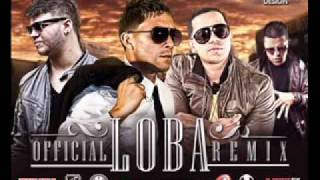 Carnal Ft J Alvarez Farruko Y Gotay  Loba Official Remix  Original [upl. by Hplodur]