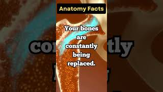 Did you know your bones did this [upl. by Fredericka580]