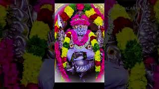 Kandha sasti kavasam devostional trending murugan short 🙏🙏💐💐 [upl. by Ainezey540]