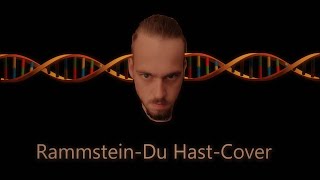 Rammstein  Du Hast Cover [upl. by Haze]