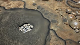 Amazing Deep Mine With Rare Pearls AMAZING Cave Pearl Finds [upl. by Arhat]