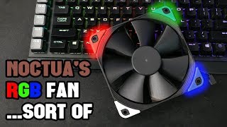 Testing Noctuas Color Coordinated Chromax Fans [upl. by Eedrahc]