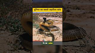 Inland Taipan Snake Facts inlandtaipan facts [upl. by Margalit164]