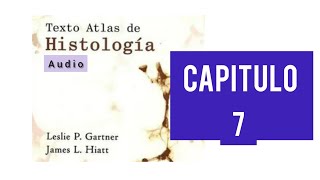 Audio🎧 Cap 7 Cartílago y hueso Histología Leslie Gartner 😀 Medicina [upl. by Kain]