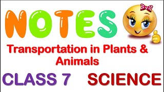 Transportation in Plants amp Animals Full Chapter Class 7  NCERT Science Class 7 Chapter 11  CBSE [upl. by Ainattirb]