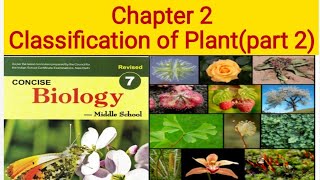 class 7 Biology chapter 2 Classification of Plants [upl. by Columbine851]