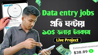 1 Data Entry  53  Data Entry Live Project  টাকা ইনকাম করার সহজ উপায়  Online income 2024 [upl. by Donadee]