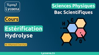 cours Estérification  Hydrolyse  Lyceenatn [upl. by Delia]