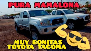 CHULADA DE TOYOTA TACOMA PURA TROKA PODEROSA [upl. by Troyes]