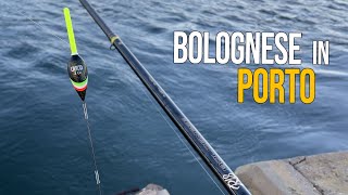 Pesca Bolognese  Una Spigola dietro laltra Pescando con i Bigattini in Corrente [upl. by Anoirb]