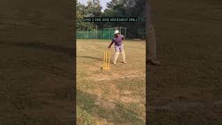 Wicket Keeping side movement drill1 cricket wicketkeepingdrills cricketlover wicketkeeper [upl. by Redfield651]