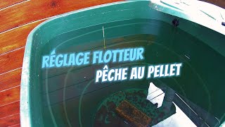 Réglage flotteur pêche au pellet  Méthode Chinoise🏯  Pêche au coup🐟 [upl. by Nylrahs390]