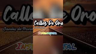 Daviles de Novelda  Las calles de oro  versión instrumental cortos [upl. by Rey]