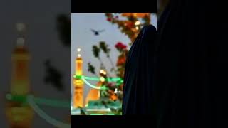 Midhat Bibi Zainab a s [upl. by Nivag]